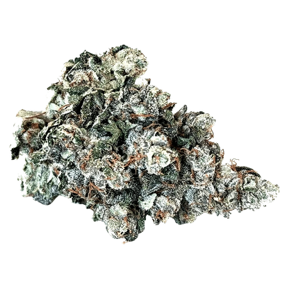 Close-up of the “Larry” bud, showcasing its dense, textured surface with rich green and brown hues.