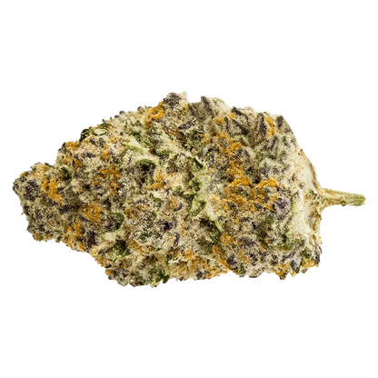 Close-up of the Gorilla Milk with a textured, creamy appearance against a plain white background.