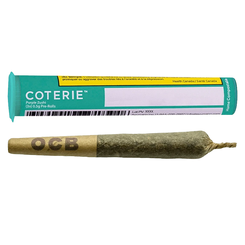 Close-up of the Purple Zushi Pre Rolled 3 x 0.5 g pre-rolls, displaying a white package with black and purple branding.