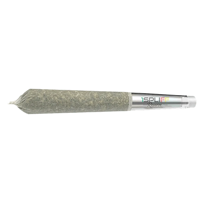 A close-up of the Quantum Kush Premium Glass Tip PR, showcasing its 5 x 0.6 g size and clear glass construction.