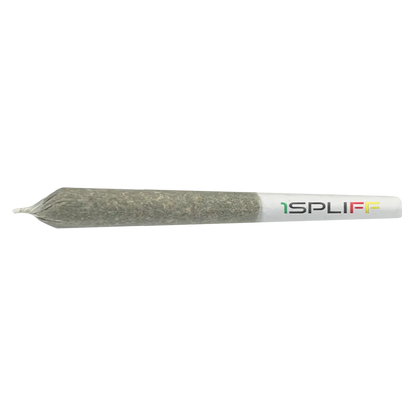 1Spliff 3.5 g Pineapplex PR 10 x 0.35 g Pre-Rolls
