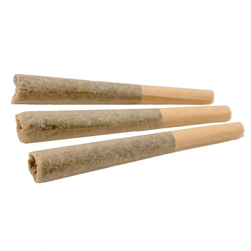 A close-up, angled view of three Orange Crush Pre Rolled 0.5 g pre-rolls, arranged side-by-side on a neutral background.