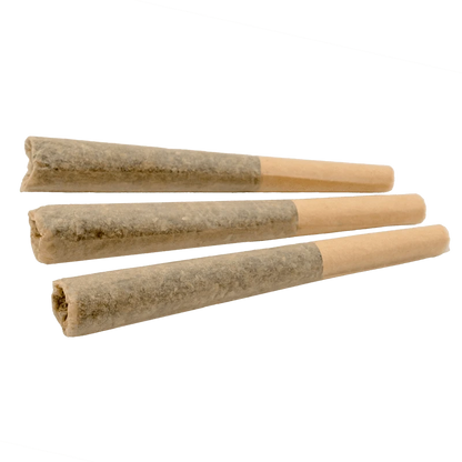 A close-up, angled view of three Orange Crush Pre Rolled 0.5 g pre-rolls, arranged side-by-side on a neutral background.