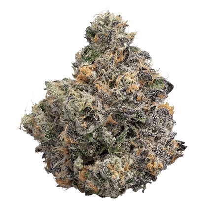 Close-up of the BC Organic Sunset Runtz, showing a vibrant bud with shades of green and orange against a plain white background.