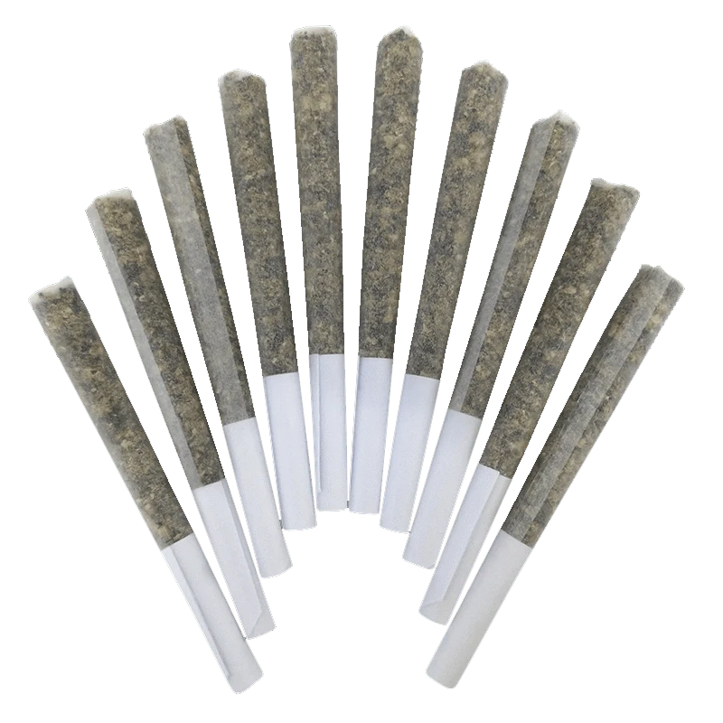 A top-down view of ten Genghis Chron Pre Rolled 0.5 g pre-rolls, arranged in a fan-like pattern against a plain white background.