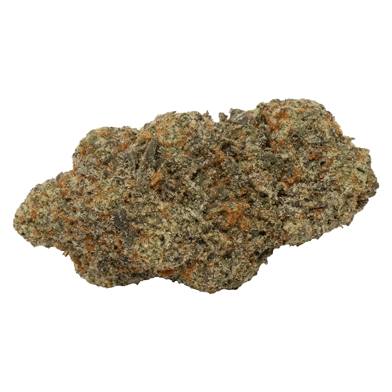 Close-up of the Magic Pop RX, showcasing its textured, rounded shape against a plain white background.