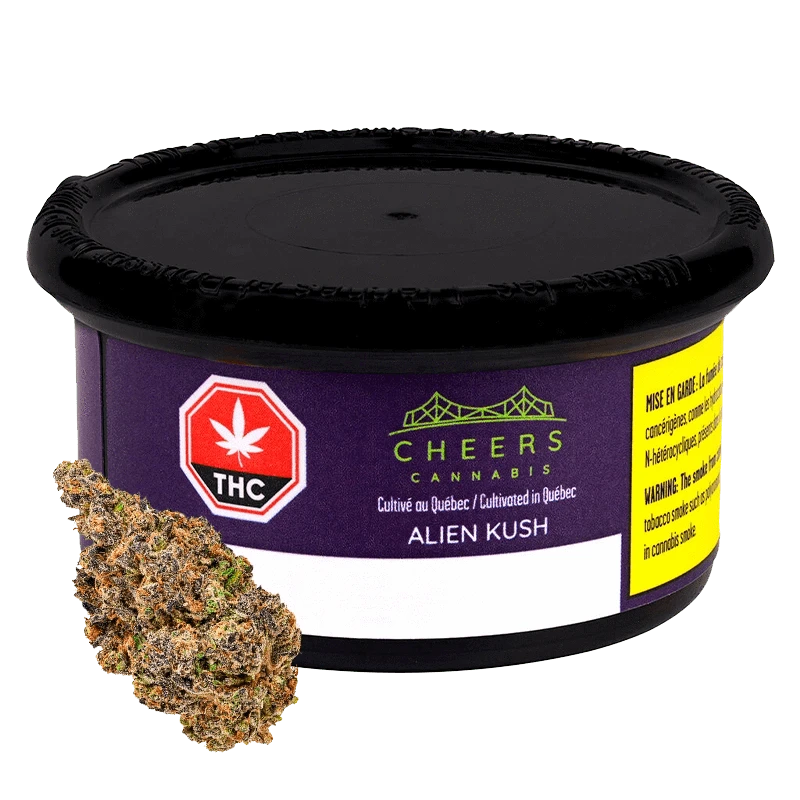 Close-up of the Alien Kush cannabis bud against a white background, displaying its textured, green appearance.