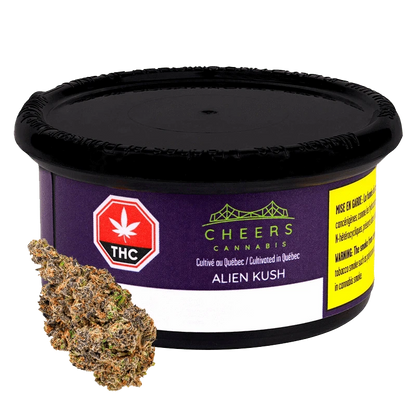 Close-up of the Alien Kush cannabis bud against a white background, displaying its textured, green appearance.