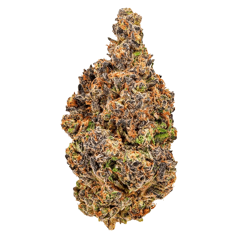 Close-up, top-down view of the Alien Kush, showcasing its dense, textured bud with a mix of green and amber tones.