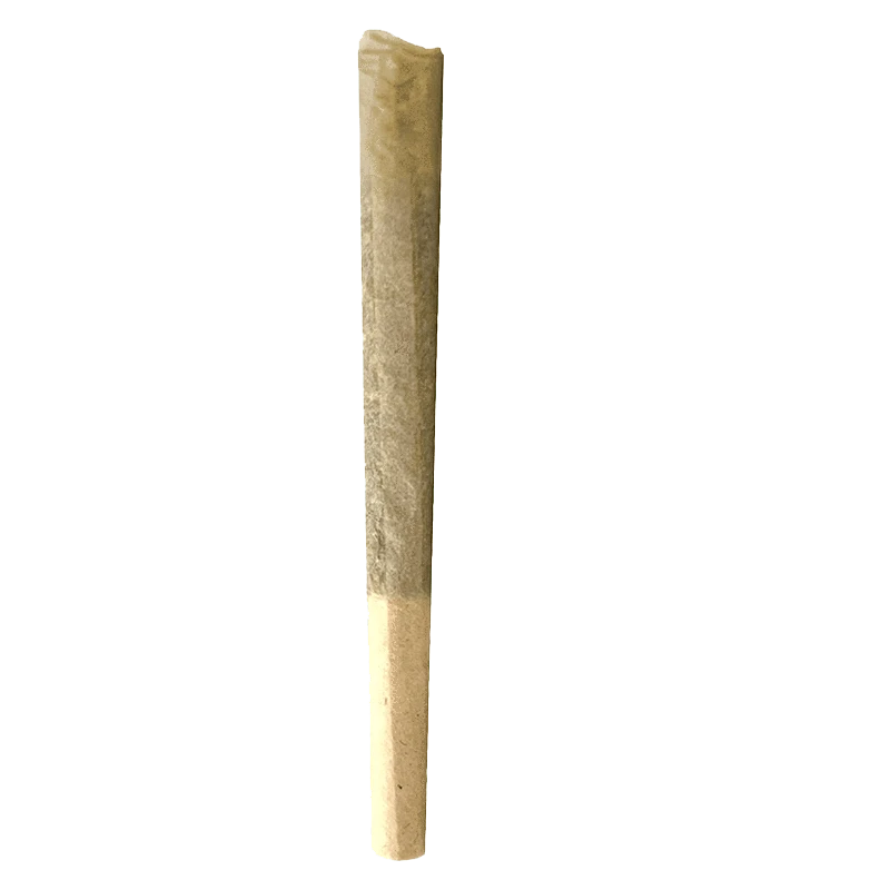 A close-up, side view of the Cookie'z Pre Rolled 7 x 0.5 g pre-roll, highlighting its slender shape and paper wrapping.