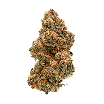 Close-up of the Key Lime Pie strain showing a dense bud with visible trichomes against a neutral background.