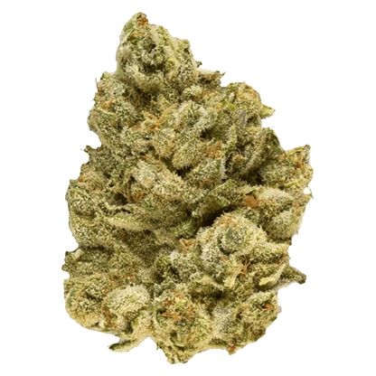 Close-up of the EmergenZ, showing a textured, organic shape against a plain white background.