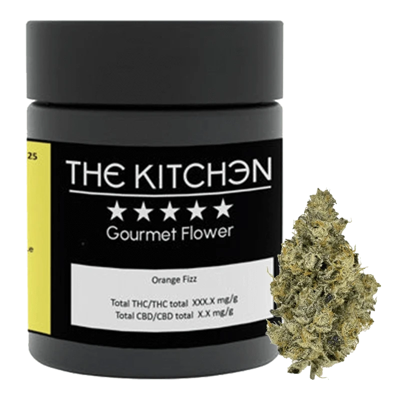 A close-up shot of Orange Fizz, showcasing a bright green flower against a neutral background.