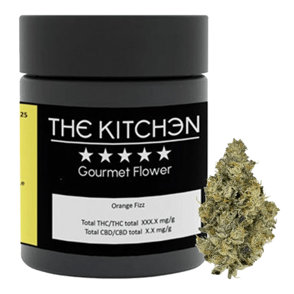 A close-up shot of Orange Fizz, showcasing a bright green flower against a neutral background.