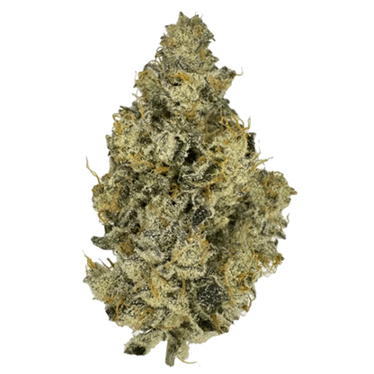 Close-up view of the Orange Fizz with its detailed, textured surface against a plain white background.