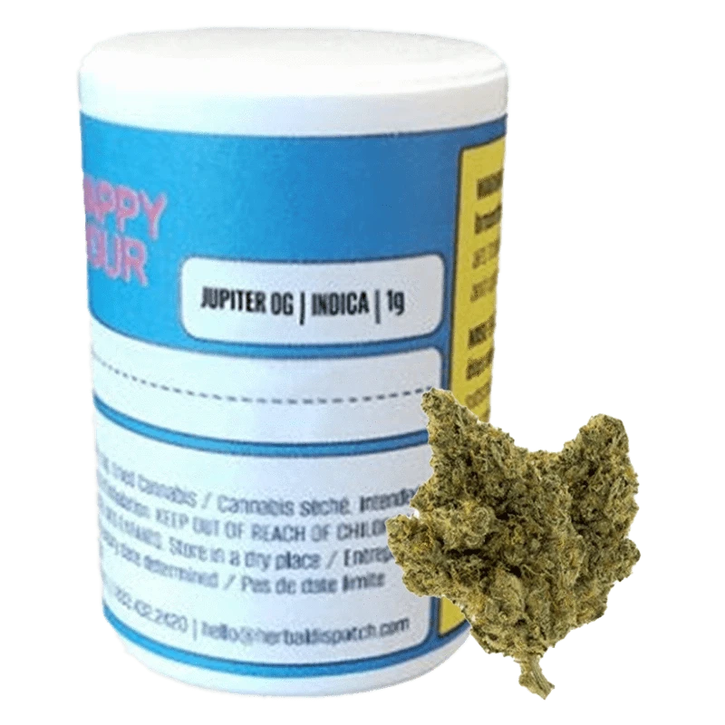 Close-up of the Happy Hour Jupiter OG flower, showcasing its green and golden hues in a brightly lit studio shot.