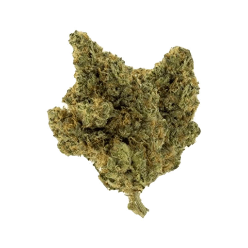 Close-up of the Happy Hour Jupiter OG cannabis bud, showcasing its dense, textured surface against a plain white background.