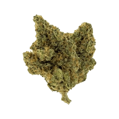 Close-up of the Happy Hour Jupiter OG cannabis bud, showcasing its dense, textured surface against a plain white background.