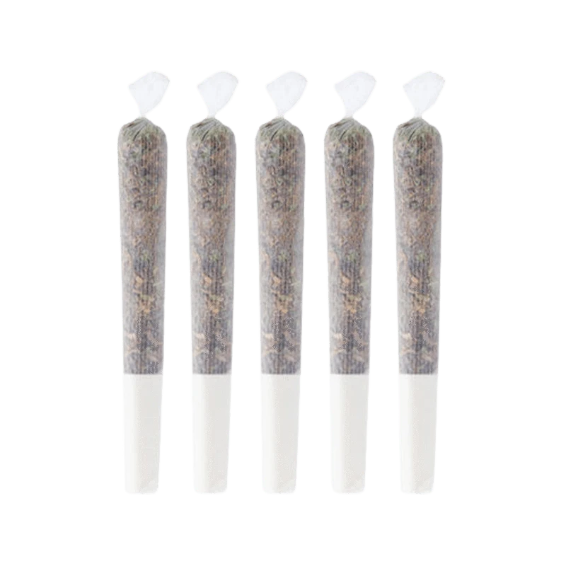 A studio shot displays five 0.5g sticks of Purple G*Shers PR, arranged in a neat row against a plain white background.