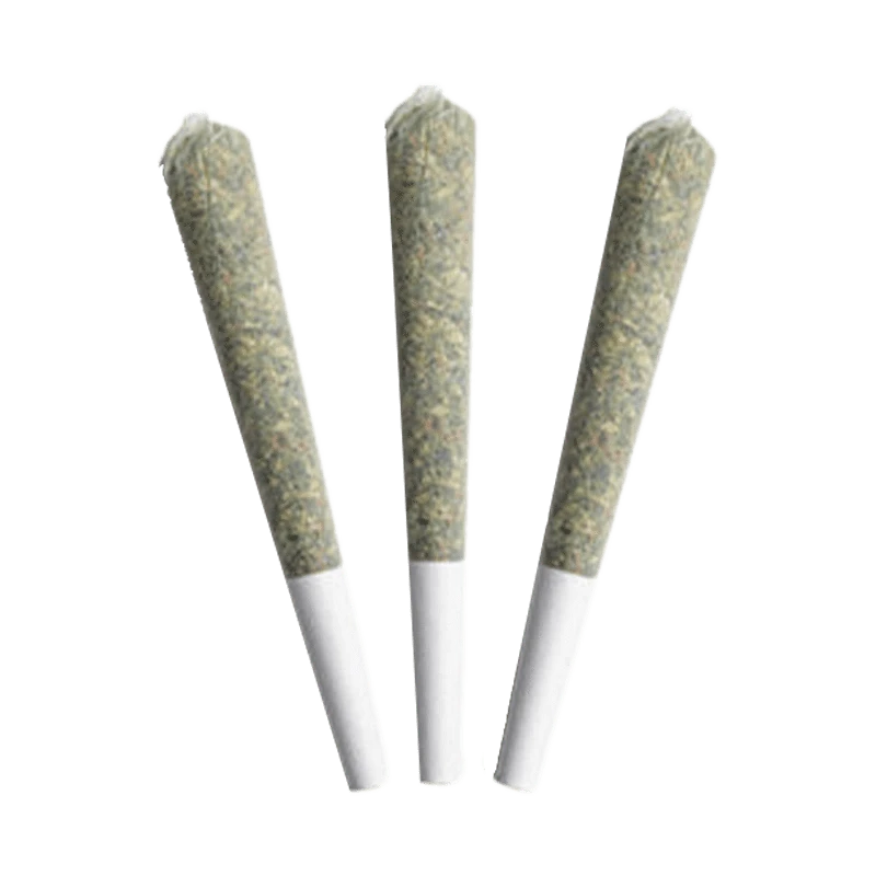 A close-up shot of three 0.5g BC Sungrown Black Soap Pre Rolled pre-rolls against a plain white background.