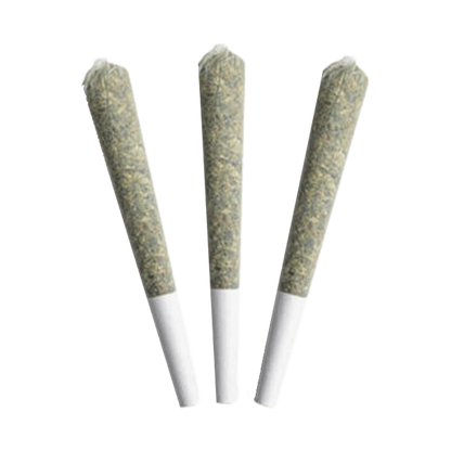 A close-up shot of three 0.5g BC Sungrown Black Soap Pre Rolled pre-rolls against a plain white background.