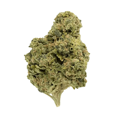 A close-up, side view of the Garlic Fumez bud, displaying its dense, textured surface and vibrant green color.