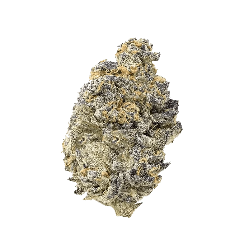 Close-up studio shot of the Pink Truffle, highlighting its textured surface and rounded form against a plain white background.