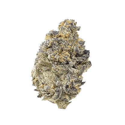Close-up studio shot of the Pink Truffle, highlighting its textured surface and rounded form against a plain white background.