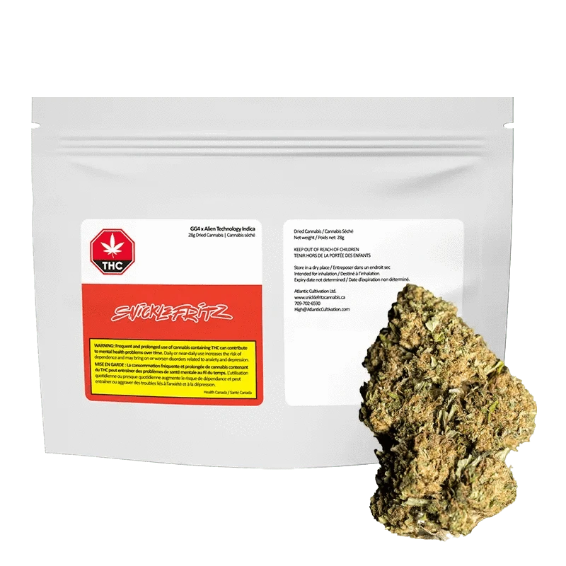 Front view of the GG4 x Alien Technology packaging, displaying vibrant colors and bold typography against a dark background.