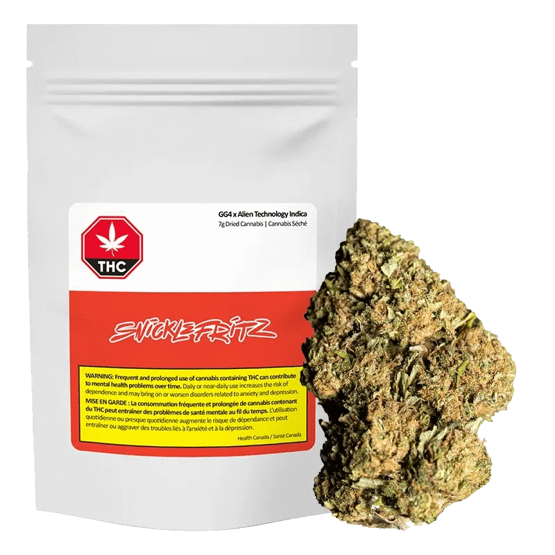 Front view of the GG4 x Alien Technology package, displaying a warning against frequent use in French and English.