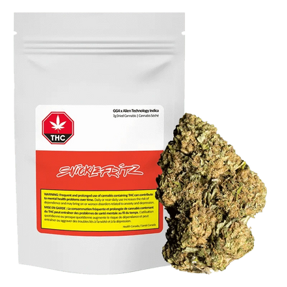 Front view of the GG4 x Alien Technology package, displaying a warning against frequent use in French and English.