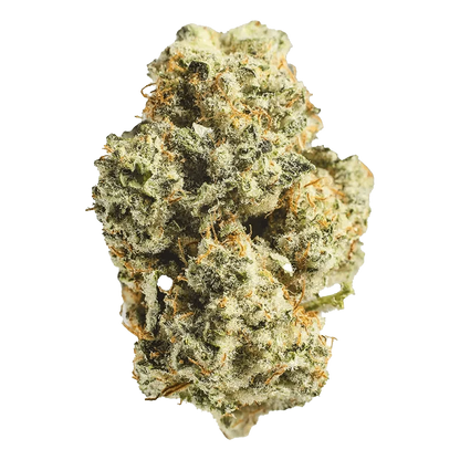 Close-up of the Sour Amnesia bud, displaying a textured surface with a natural, organic shape.