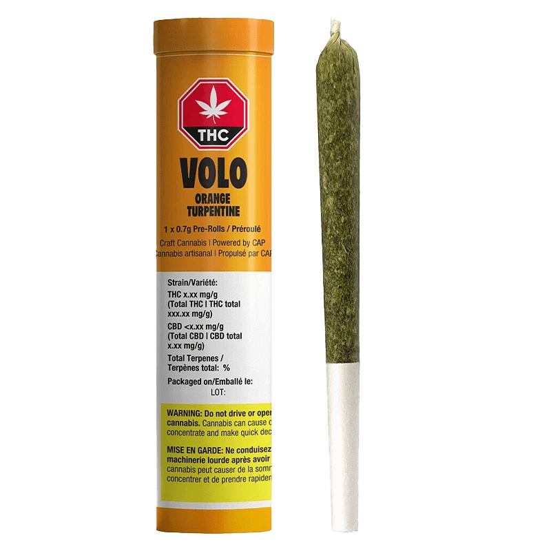 Front view of the Orange Turpentine Pre Rolled 1 x 0.7 g packaging, featuring a vibrant color scheme with bold branding.