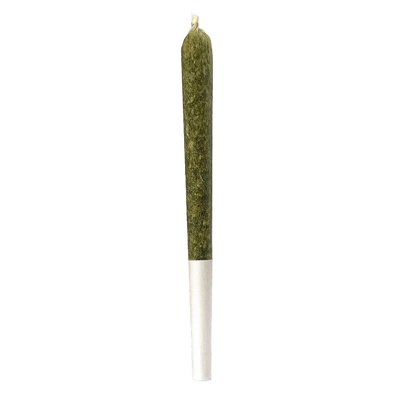 A close-up of the Orange Turpentine Pre Rolled 1 x 0.7 g joint, displayed against a plain white background.