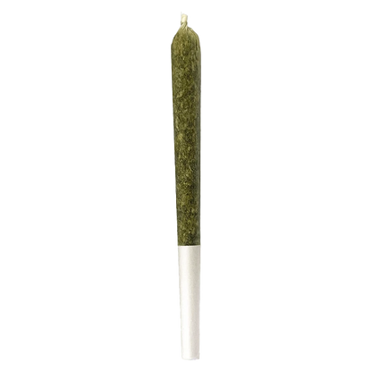 A close-up of the Orange Turpentine Pre Rolled 1 x 0.7 g joint, displayed against a plain white background.
