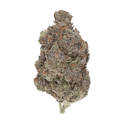 Close-up of the Diablo, showing its textured surface and dark color against a plain white background.