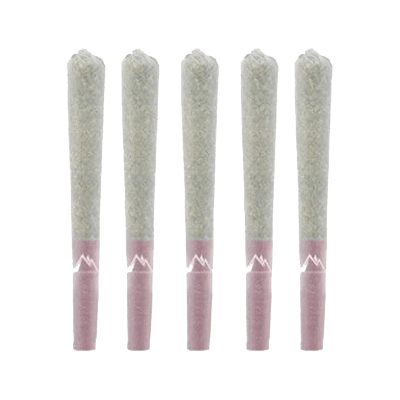 Front view of the Cosmic Cherry Pre Rolled 10 x 0.5 g product, showcasing a vibrant, pink-toned pre-roll against a clean white background.
