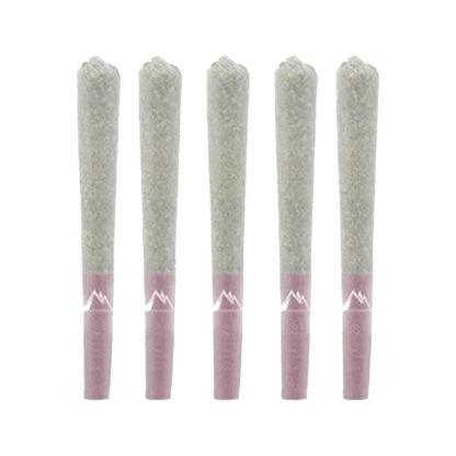 Front view of the Cosmic Cherry Pre Rolled 10 x 0.5 g product, showcasing a vibrant, pink-toned pre-roll against a clean white background.