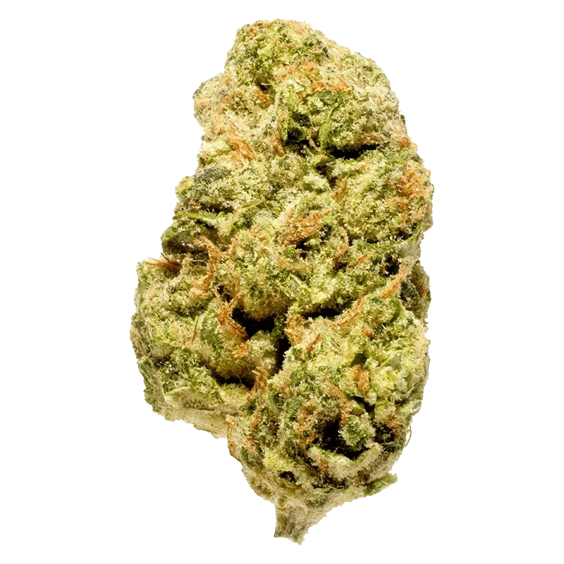 Front view of the Blanh, featuring a textured surface and a simple, rounded form against a plain white backdrop.