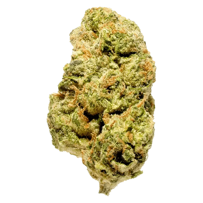 Front view of the Blanh, featuring a textured surface and a simple, rounded form against a plain white backdrop.