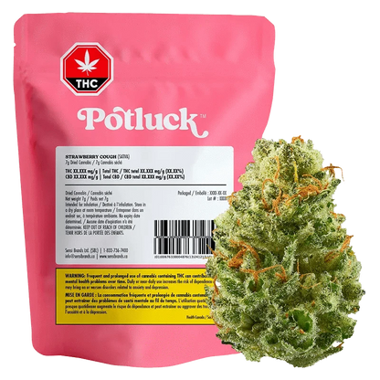 Strawberry Cough: Lowest Price | Canna Cabana