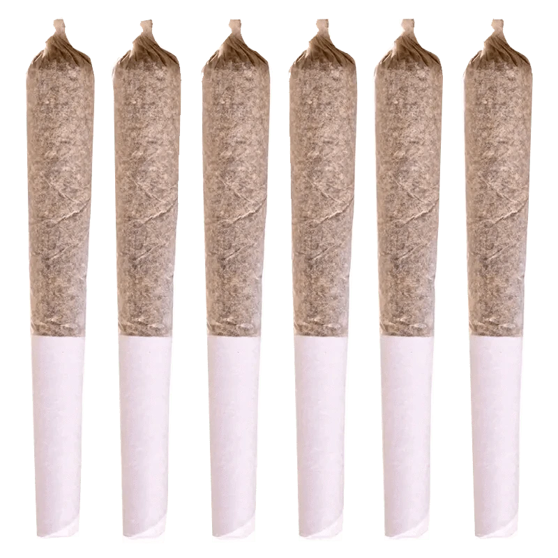 A close-up, angled view of six White Widow Pre Rolled 0.5 g pre-rolls against a stark white background.