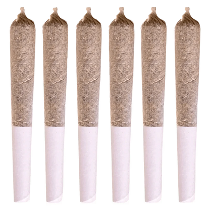 A close-up, angled view of six White Widow Pre Rolled 0.5 g pre-rolls against a stark white background.