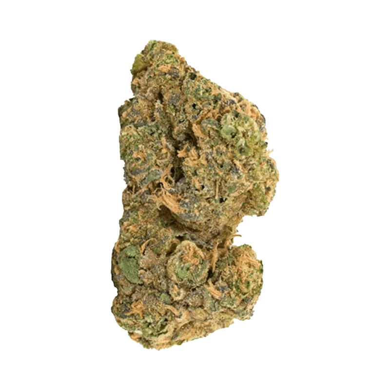 Close-up of the Purple Churro, showcasing its textured, rounded form against a neutral backdrop.