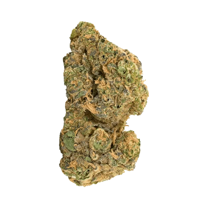 Close-up of the Purple Churro, showcasing its textured, rounded form against a neutral backdrop.