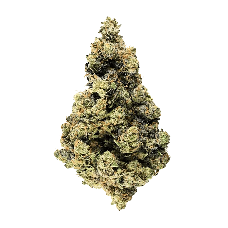 Broken Coast 28 g Ruxton Flower