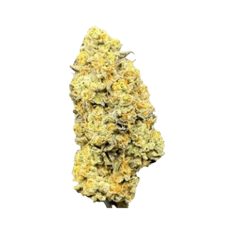 A close-up shot of the Twisted Rntz, highlighting its textured surface and pale yellow color against a plain white background.