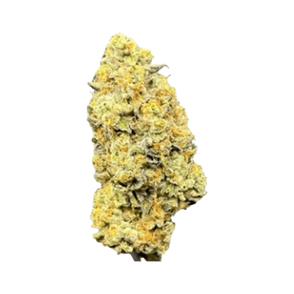 A close-up shot of the Twisted Rntz, highlighting its textured surface and pale yellow color against a plain white background.