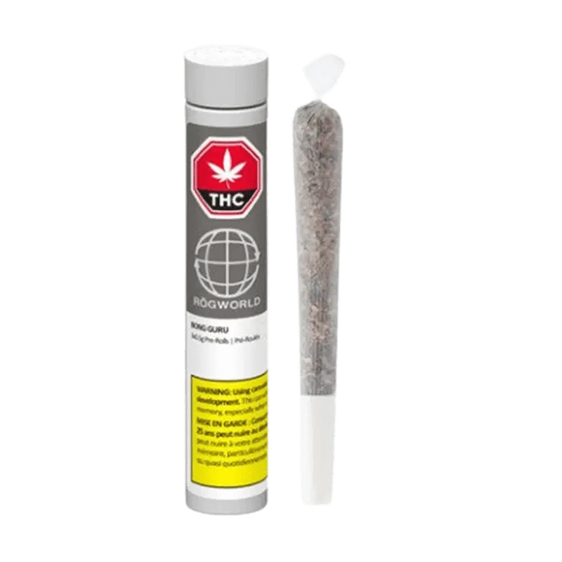 Front view of the Bong Guru Rockstar Pre Rolled 1 x 1 g, a small, pre-rolled cannabis joint with a white filter tip.