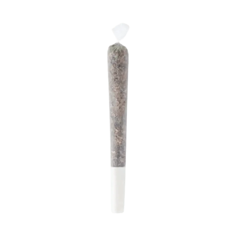 Front view of the Bong Guru Rockstar Pre Rolled 1 x 1 g, showing a close-up of the device’s joint.